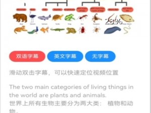 91 字幕网提供各类影视作品的字幕文件下载，满足用户学习外语、观看原版电影的需求