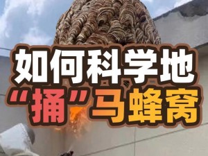 《探究如何安全获取蜂巢之攻略：《致命公司蜂巢收集手册》揭秘蜂窝利用新技巧》