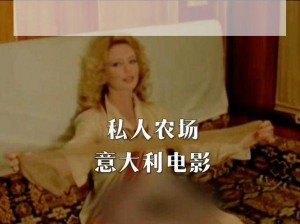 成人网站免费影片被黑客窃取，网友惊呼：我的私人影片被曝光了