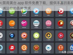 十大禁用黄台 app 软件免费下载，提供丰富的影视资源，满足你的各种需求