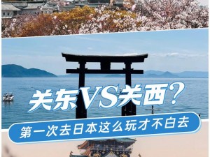 日本第一 vs 日本第二，究竟谁能更胜一筹？日本第一的品质与日本第二的性价比，你更青睐哪一个？