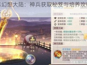 国志幻想大陆：神兵获取秘笈与培养攻略全解析