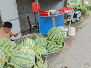 呱呱大爆料往期瓜合集，汇聚各类精彩爆料，让你一次看个够