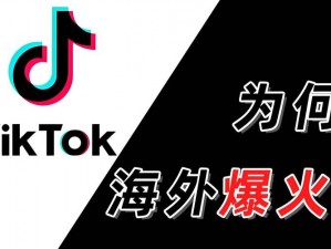 海外 tiktok 完美版，畅享无限制短视频乐趣