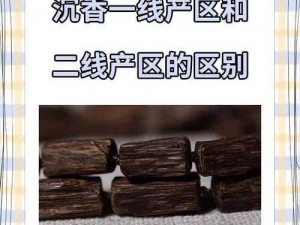 中文字幕一线产区和二线区的区别：你需要知道的商品介绍