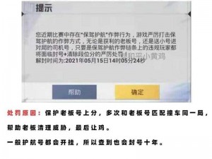 和平精英网络波动异常解析：原因影响与解决方案探究