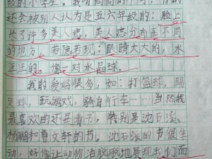 在学校沦为坐便器的作文：独一无二的写作体验