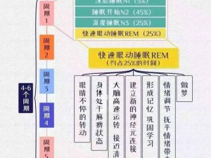 探寻生活真相：大学睡眠阶段深度解析