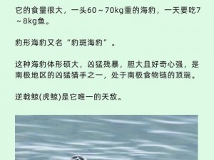 饥荒时代寻找海豹踪迹：揭秘海豹栖息的秘密场所与出现习性研究