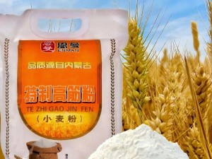 德国大 BWx 高筋面粉 5kg 家用烘焙原料