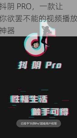 抖阴 PRO，一款让你欲罢不能的视频播放神器