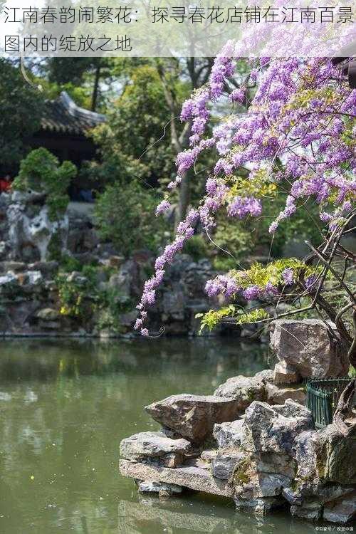 江南春韵闹繁花：探寻春花店铺在江南百景图内的绽放之地