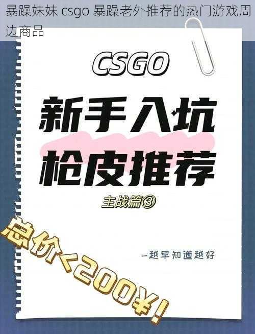 暴躁妹妹 csgo 暴躁老外推荐的热门游戏周边商品