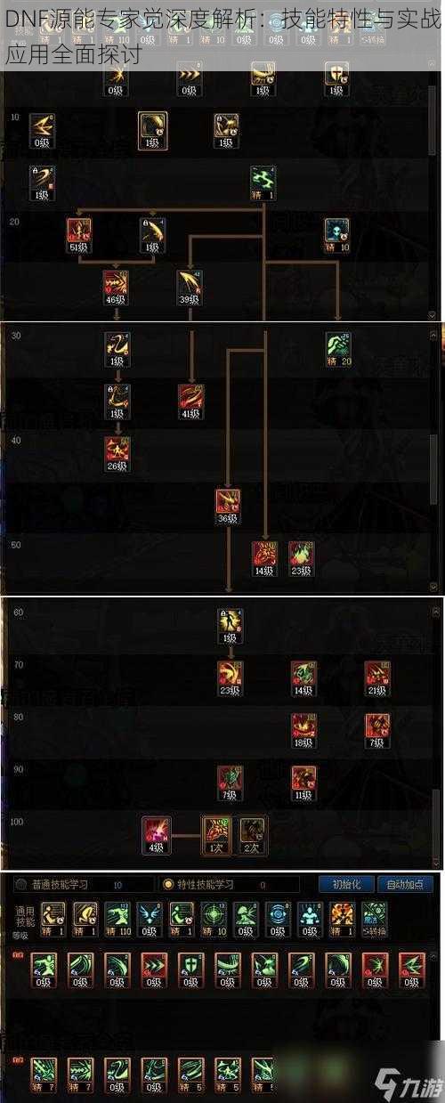 DNF源能专家觉深度解析：技能特性与实战应用全面探讨