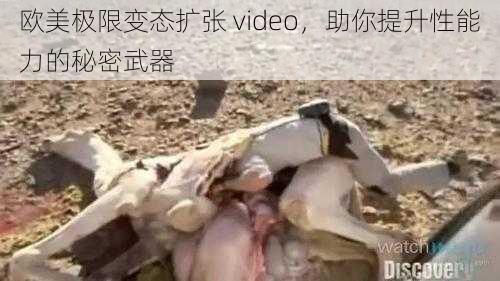 欧美极限变态扩张 video，助你提升性能力的秘密武器