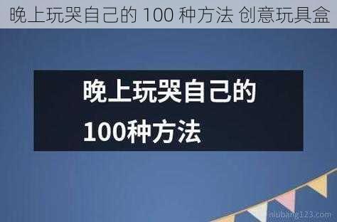 晚上玩哭自己的 100 种方法 创意玩具盒