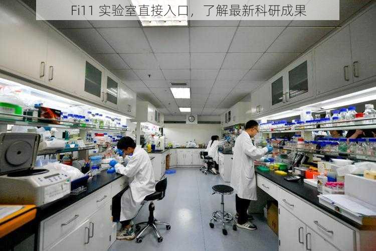 Fi11 实验室直接入口，了解最新科研成果