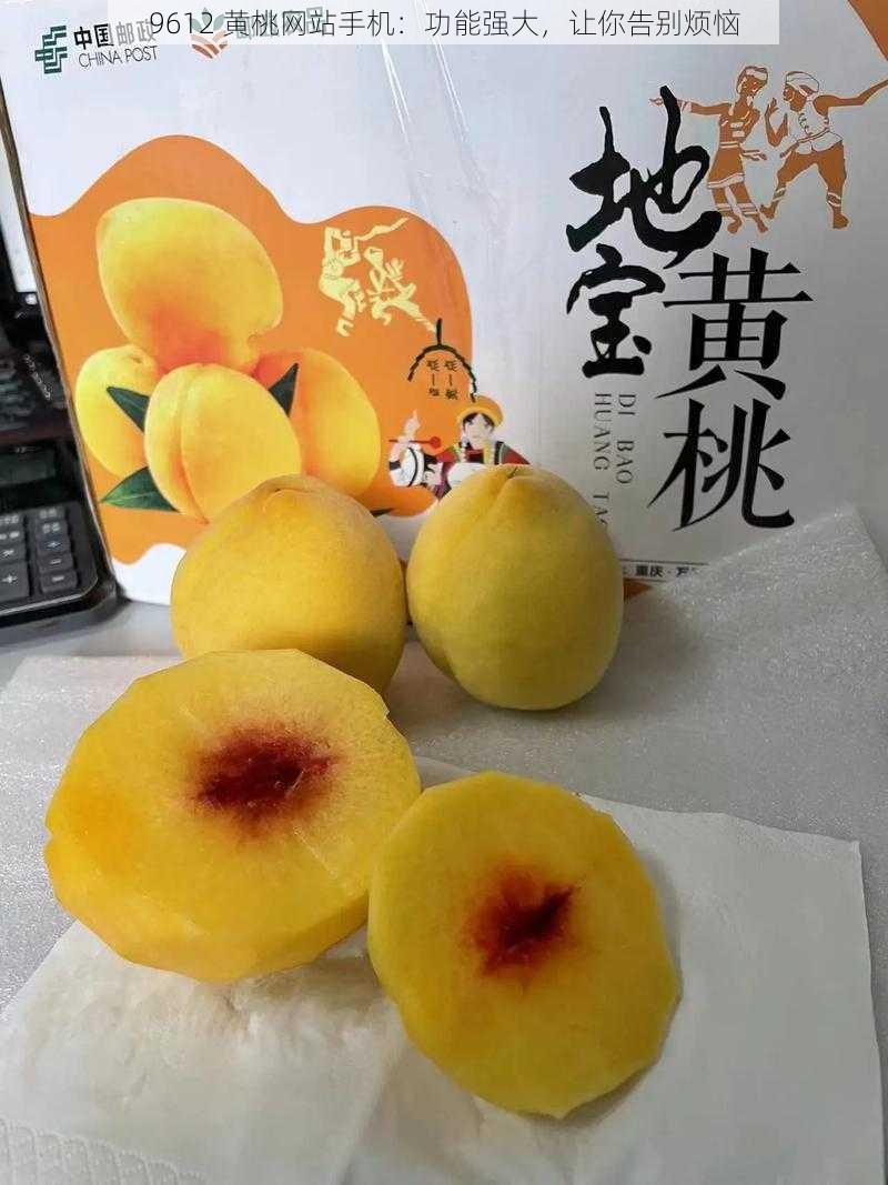 9612 黄桃网站手机：功能强大，让你告别烦恼