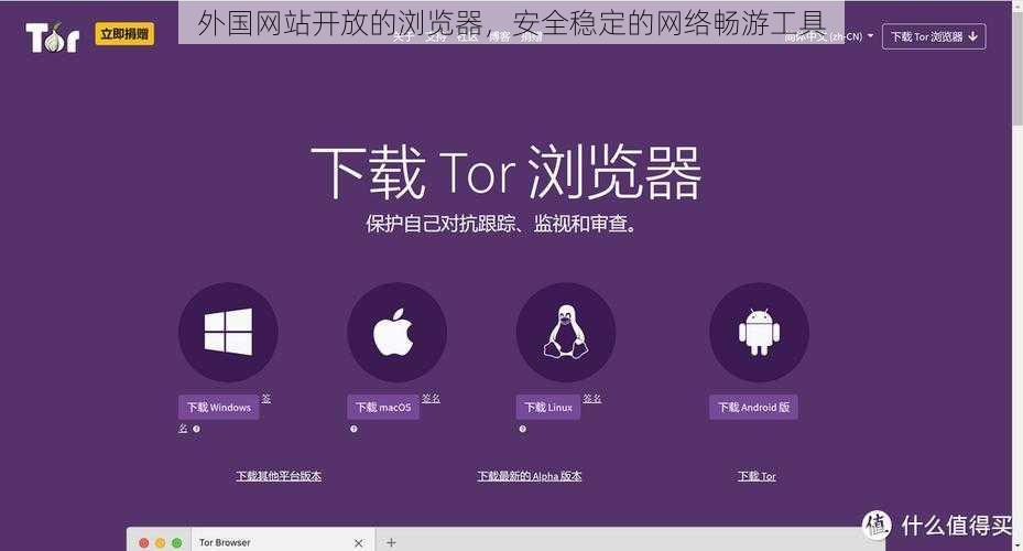 外国网站开放的浏览器，安全稳定的网络畅游工具
