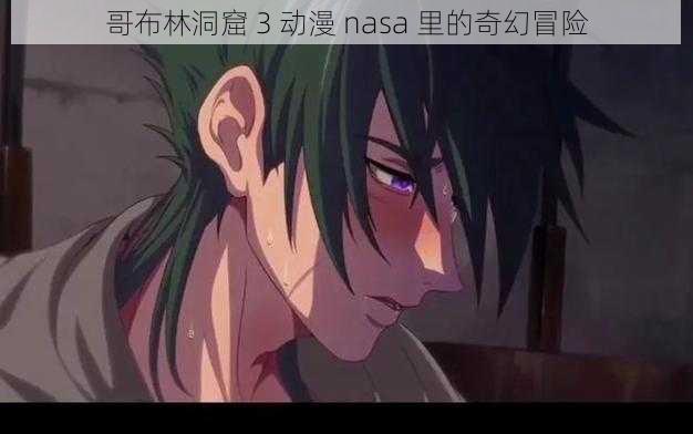 哥布林洞窟 3 动漫 nasa 里的奇幻冒险