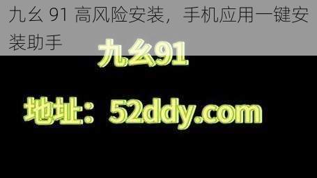 九幺 91 高风险安装，手机应用一键安装助手