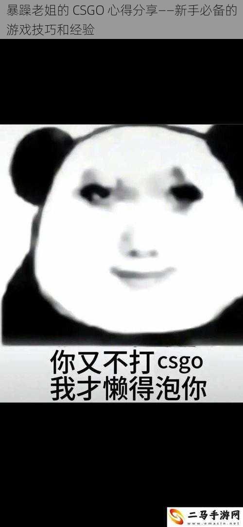 暴躁老姐的 CSGO 心得分享——新手必备的游戏技巧和经验