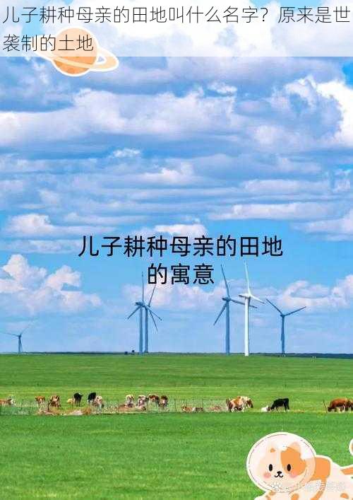 儿子耕种母亲的田地叫什么名字？原来是世袭制的土地