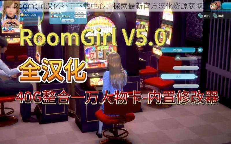 Roomgirl汉化补丁下载中心：探索最新官方汉化资源获取途径