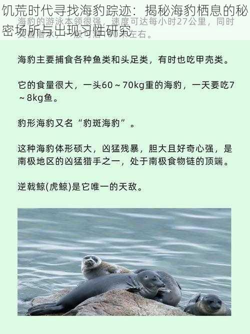 饥荒时代寻找海豹踪迹：揭秘海豹栖息的秘密场所与出现习性研究