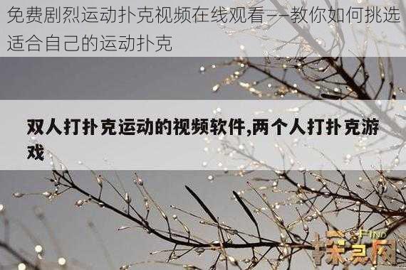 免费剧烈运动扑克视频在线观看——教你如何挑选适合自己的运动扑克